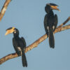 Wilpattu National Park